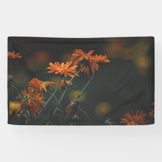 Lona Bandera de 3' x 5' (Horizontal)