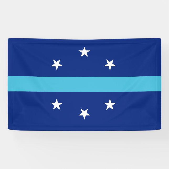 Lona Bandera de Anaheim (California, Estados Unidos) (Horizontal)