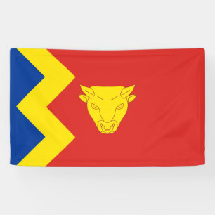 Lona Bandera de Birmingham City