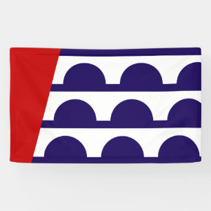 Lona Bandera de Des Moines (ciudad de Iowa)