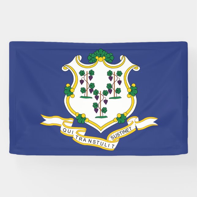 Lona Bandera de estado de Connecticut (Horizontal)
