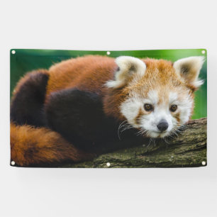 Lona Bandera de la PANDA ROJA CON los OJALES