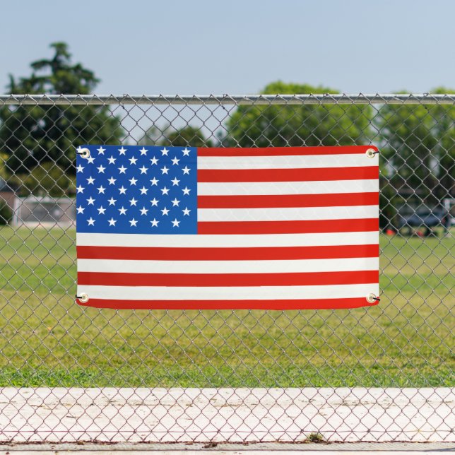 Lona Bandera de los Estados Unidos (in situ)