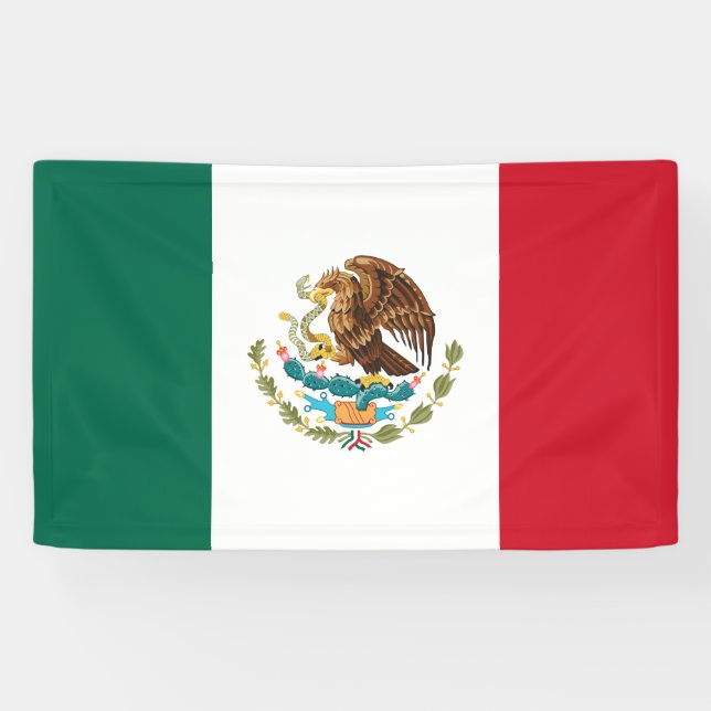 Lona Bandera de México (Horizontal)