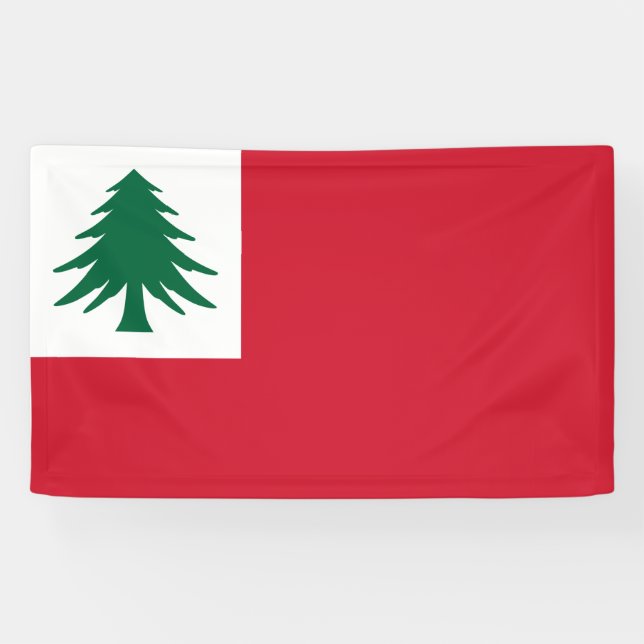 Lona Bandera de Nueva Inglaterra (Horizontal)