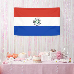 Lona Bandera de Paraguay