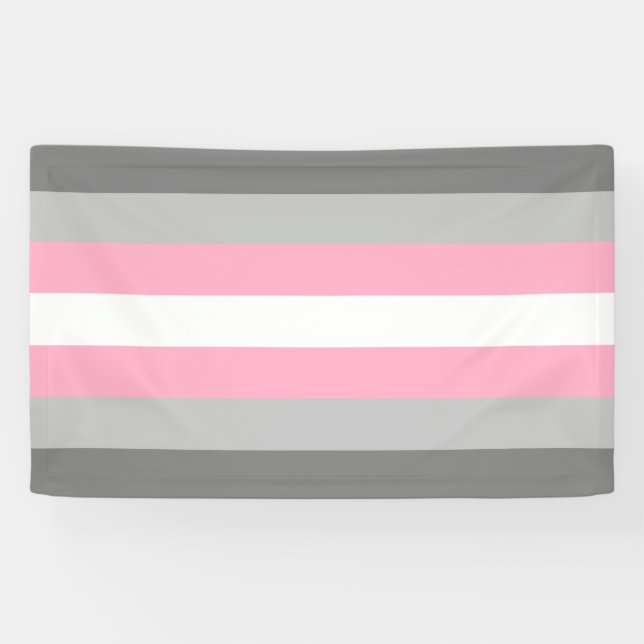 Lona Bandera Demigirl (Orgullo Demi Chica) (Identidad d (Horizontal)