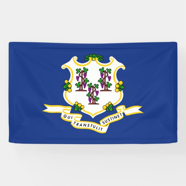 Lona Bandera estatal de Connecticut (Horizontal)