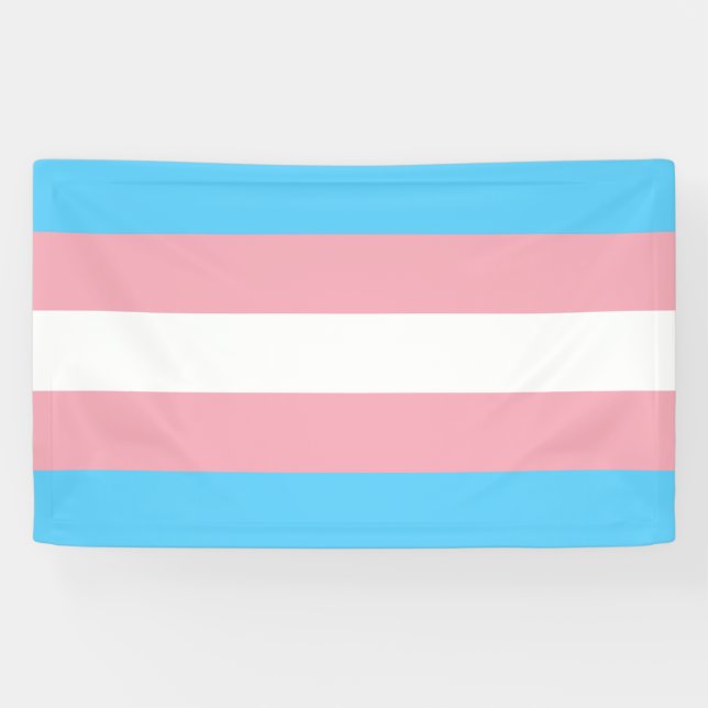 Lona Bandera transgénero orgullo LGBT símbolo gay homos (Horizontal)