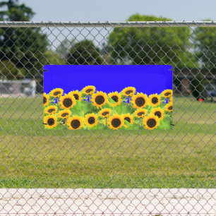 Lona Banderas de girasol Banderas de Ucrania Colores de