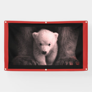 LONA BANNER CON CUBO DE OSO