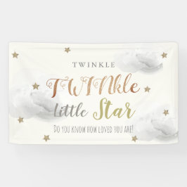 Lona Banner de Baby Shower de TWINkle Little Star Gray