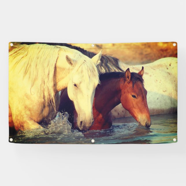 Lona Banner de GROMMET VYNIL (Horizontal)