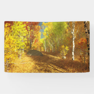 Lona Banner de la luz de caída