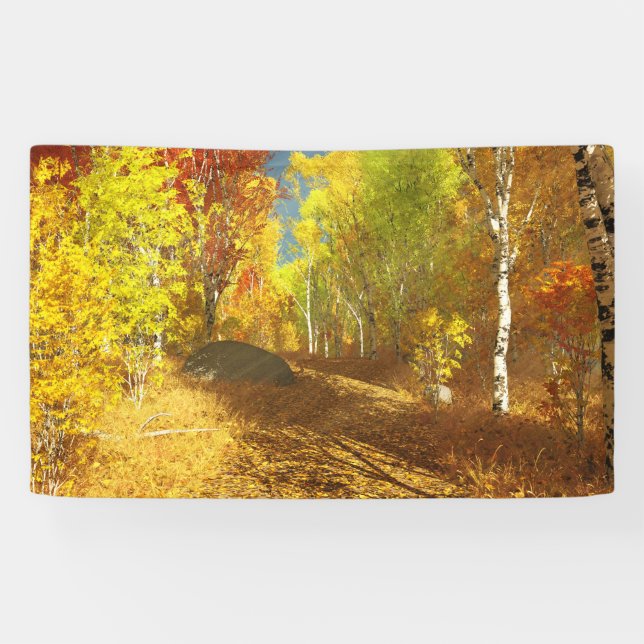 Lona Banner de la luz de caída (Horizontal)