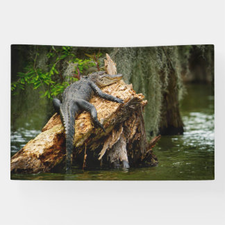 Lona Banner de Lazy Gator 4x6'