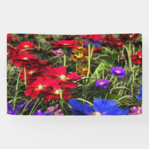 Lona Banner de primavera irlandés