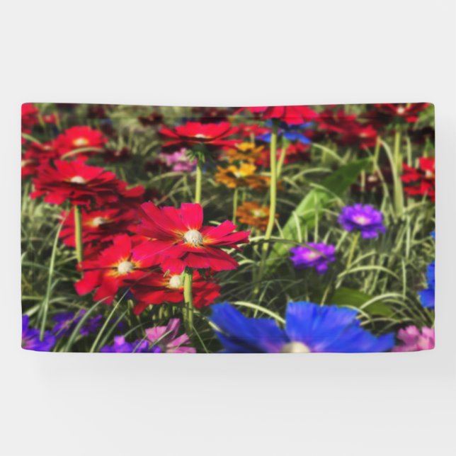 Lona Banner de primavera irlandés (Horizontal)