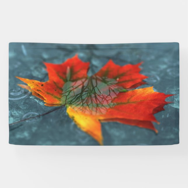 Lona Banner de reflexión (Horizontal)