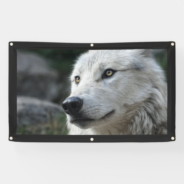 Lona Banner de WOLF (Horizontal)