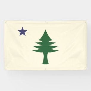 Lona Banner exterior con bandera principal de 1901