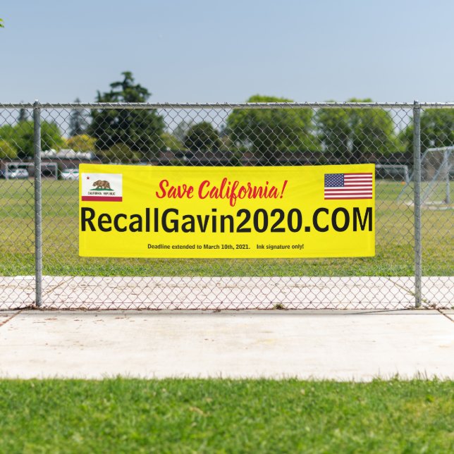 Lona Banner Recallgavin2020 de 2,5 pies x 8 pies (In situ)