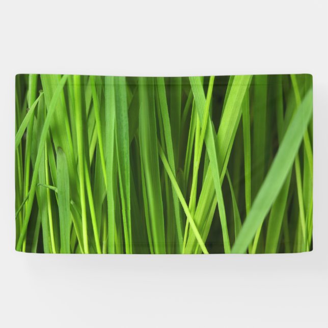 Lona Barras de hierba (Horizontal)