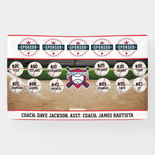 Lona Baseball Team Sponsor (Horizontal)