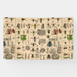 Lona Bee Insect Bug Wasp Naturaleza Abejas Pintura