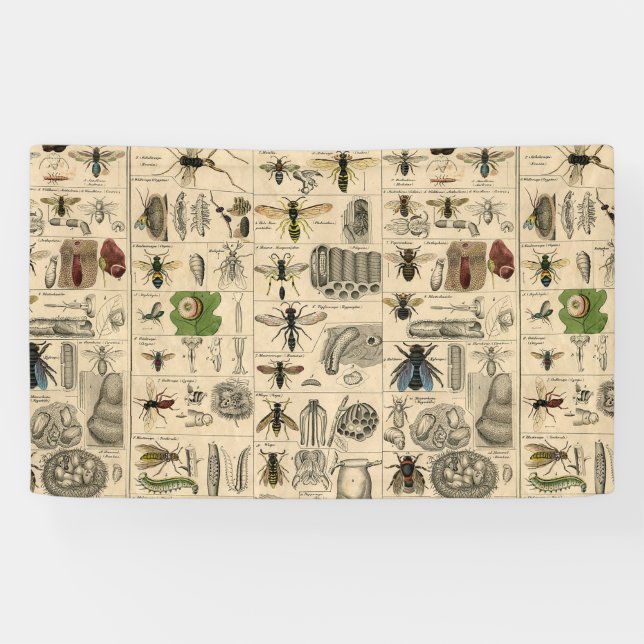 Lona Bee Insect Bug Wasp Naturaleza Abejas Pintura (Horizontal)