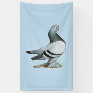 Lona Berliner Tumbler Pigeon Blue Bar
