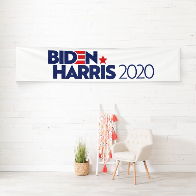 LONA BIDEN HARRIS 2020 (In situ)