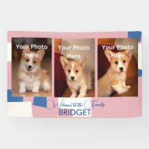 Bienvenida Casa Nueva Cachorra, Ducha De Cachorro