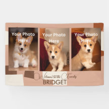 Bienvenida Casa Nueva Cachorra, Ducha De Cachorro