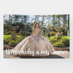 Lona Bienvenidos A Mis Quince Quinceañera Photo