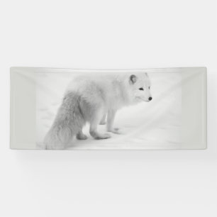 Lona BLANCO ÁRTICO FOX 2.5 X 6 Banner