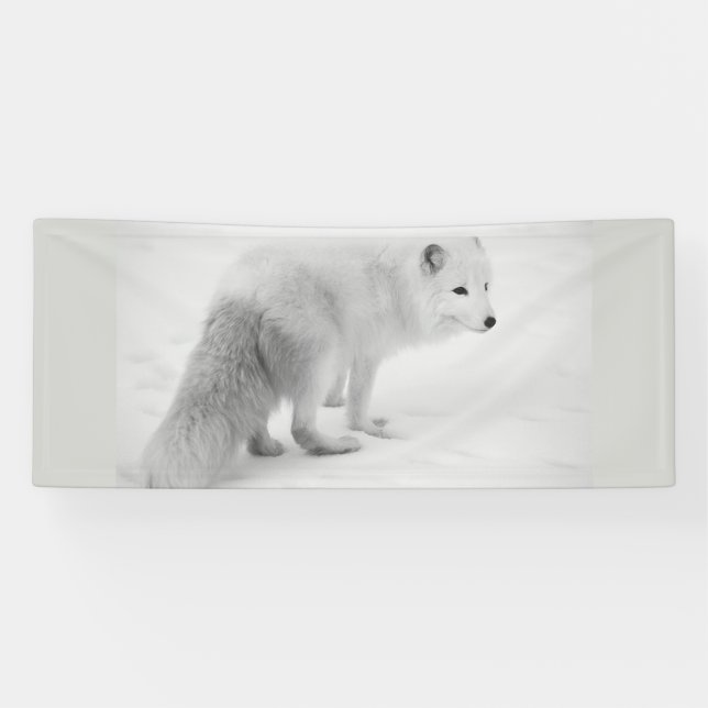 Lona BLANCO ÁRTICO FOX 2.5 X 6 Banner (Horizontal)