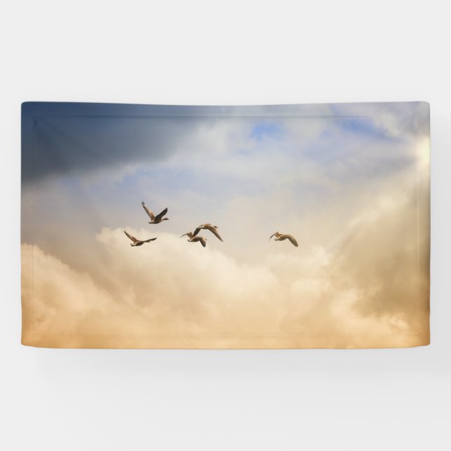 Lona Bloqueo de aves en vuelo (Horizontal)