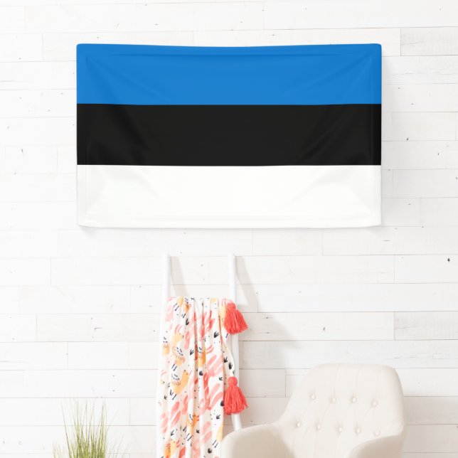 Lona Bold Estonia National Flag Rectangle Wall Banner (In situ)