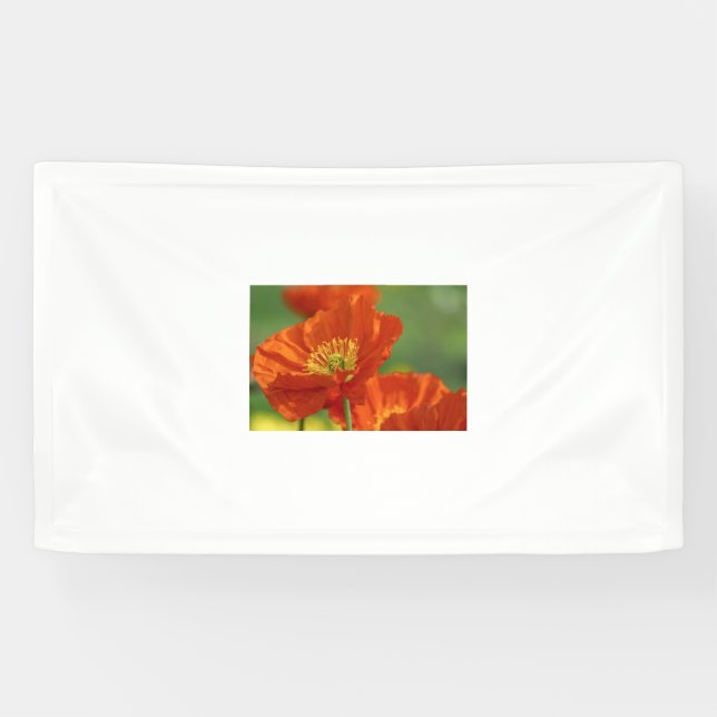 Lona Bonita amapola roja (Horizontal)