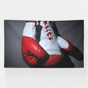 Lona Boxing gloves