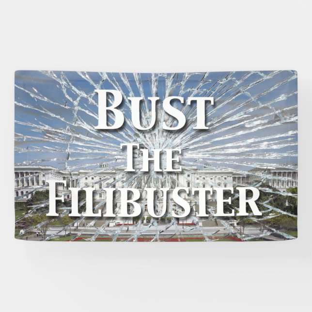 Lona Bust The Filibuster (Horizontal)