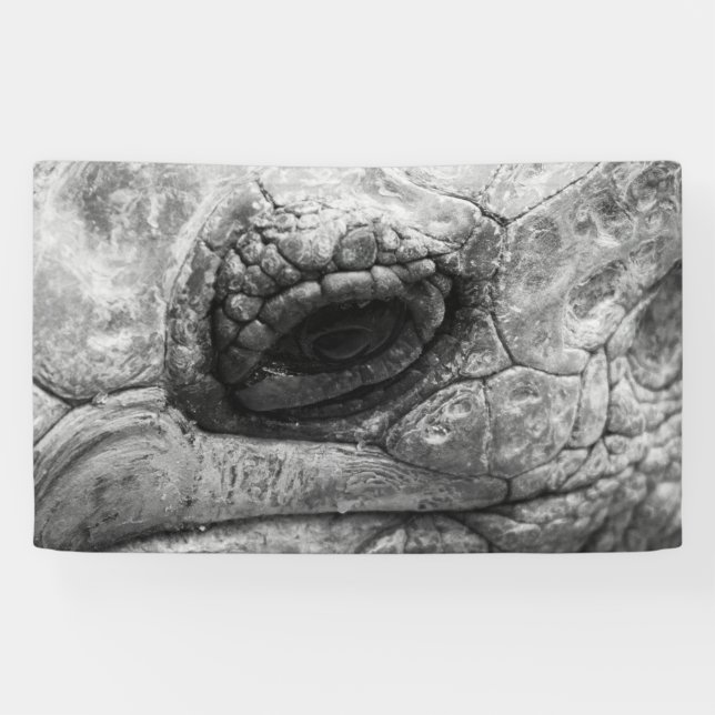 Lona BW Tortoise (Horizontal)