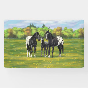 Lona Caballos Appaloosa Negros En Pastel De Verano