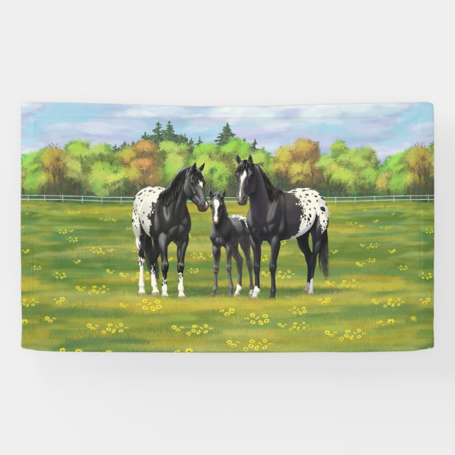 Lona Caballos Appaloosa Negros En Pastel De Verano (Horizontal)