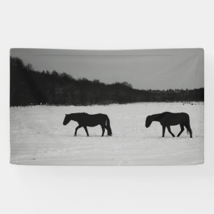 Lona Caballos En Bnrcn De Nieve