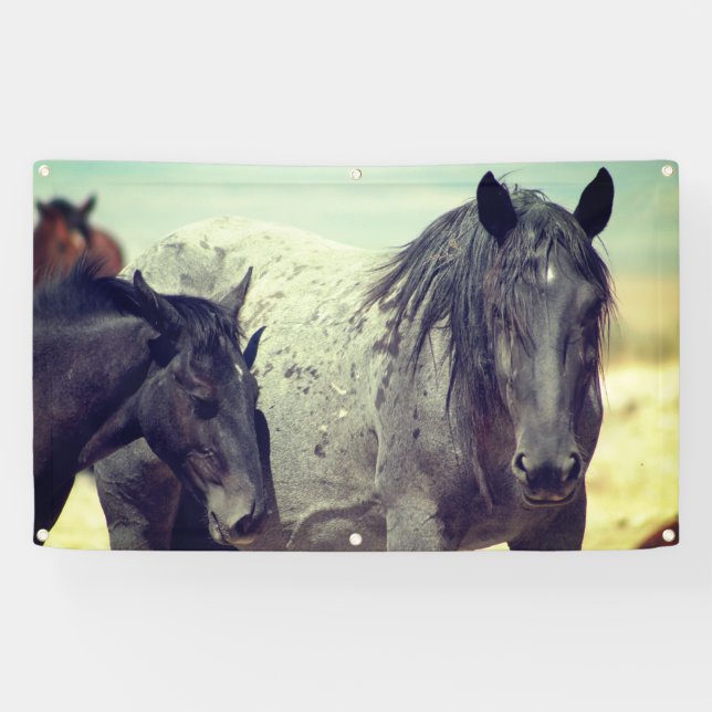 LONA CABALLOS SALVAJES DE LA BANDERA GRIS DE UTAH ONAQU (Horizontal)