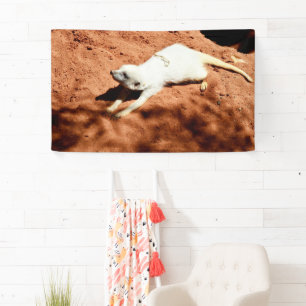Lona Calentamiento de Meerkat Blanco, Banner de pared