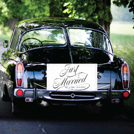 Lona Carried Away Just Married Car Banner