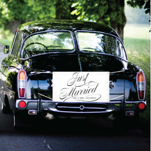 Lona Carried Away Just Married Car Banner